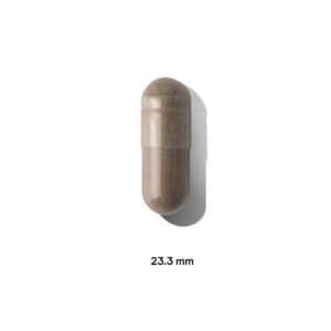 Thorne Ginseng Plus 60 kapslar 2